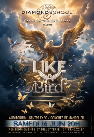 Diamond Affiche 2025 HD